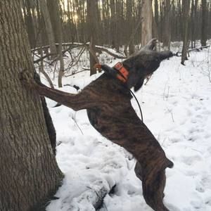 Meet your Posher, Adam